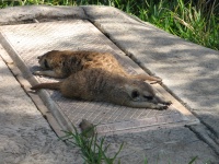 20100206 489.JPG